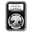 1995-W Proof American Silver Eagle PF-69 NGC (Retro Black Insert)