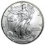 1996 1 oz American Silver Eagle (Abrasions)