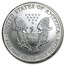 1996 1 oz American Silver Eagle (Abrasions)