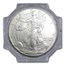 1996 20-Coin American Silver Eagle Sealed Tube NGC