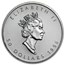 1996 Canada 1 oz Platinum Maple Leaf BU