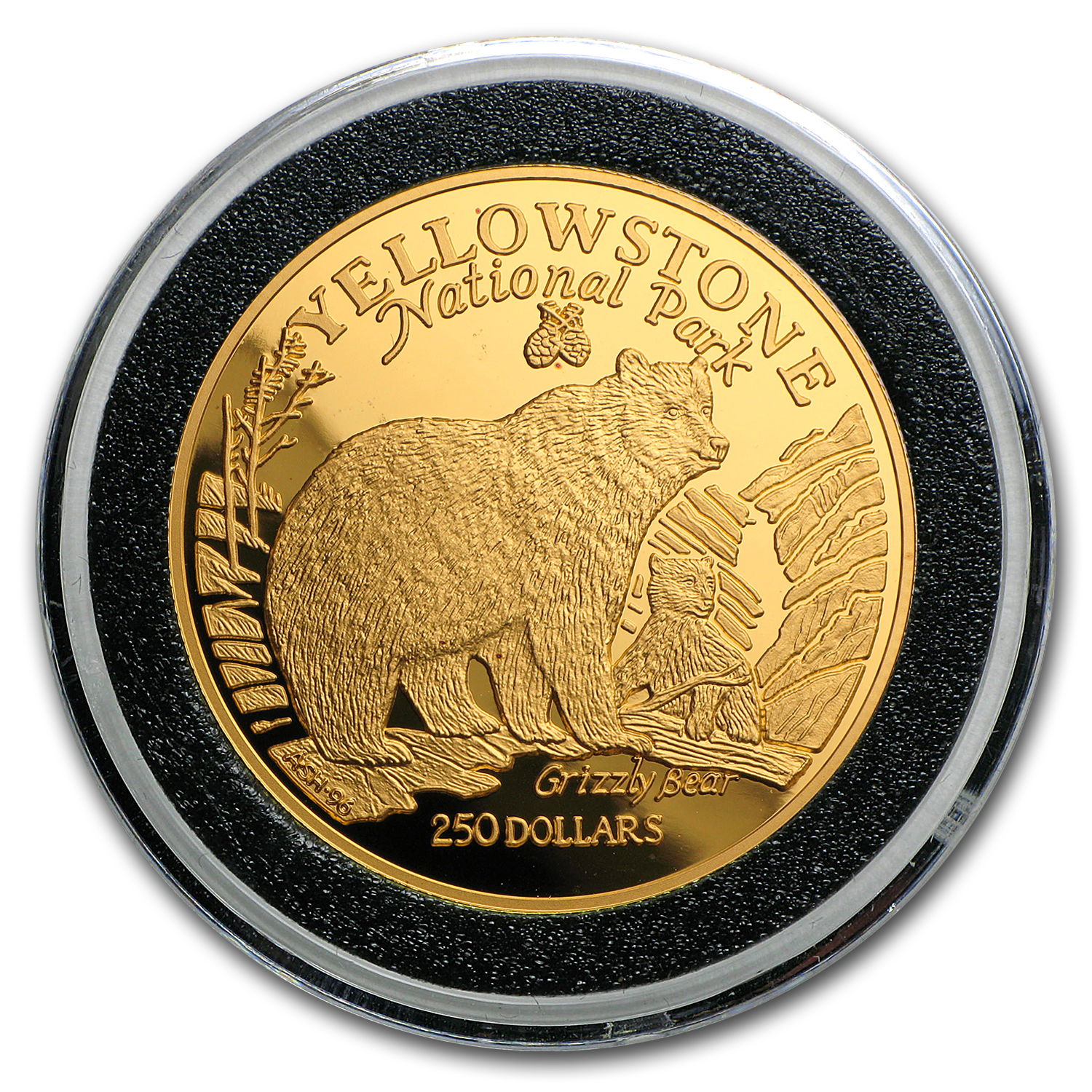 Buy 1996 Cook Islands Gold $250 (Bear & Cub) | APMEX