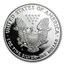 1996-P 1 oz Proof American Silver Eagle (w/Box & COA)