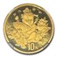 1997 China 1/10 oz Gold 10 Yuan Auspicious Matter MS-70 NGC