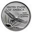 1998 1/10 oz American Platinum Eagle BU