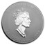 1998 Canada 10 oz Silver $50 Maple Leaf (10th Anniversary)