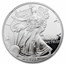 1998-P Proof American Silver Eagle PF-69 NGC