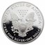 1998-P Proof American Silver Eagle PF-69 NGC