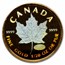1999 Canada Gold Maple Leaf Hologram 20 Years ANS 5-Coin Set