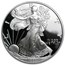 1999-P 1 oz Proof American Silver Eagle (w/Box & COA)