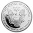 1999-P Proof American Silver Eagle PF-69 NGC