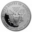 1999-P Proof American Silver Eagle PR-69 PCGS