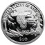 1999-W 1/10 oz Proof American Platinum Eagle (w/Box & COA)
