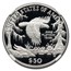 1999-W 1/2 oz American Platinum Eagle PF-70 UCAM NGC (Castle)