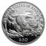1999-W 1/2 oz Proof American Platinum Eagle PF-69 NGC