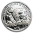 1999-W 1/4 oz Proof American Platinum Eagle PF-70 UCAM NGC