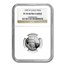 1999-W 4-Coin Proof American Platinum Eagle Set PF-70 NGC