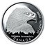 2000 Canada 4-Coin Silver Birds of Prey Half Dollar Proof Set