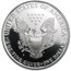 2000-P Proof American Silver Eagle PF-69 NGC