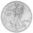 2001 American Silver Eagle MS-70 NGC