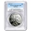 2001-P Buffalo $1 Silver Commem PR-69 PCGS