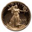 2001-W 1/2 oz Proof American Gold Eagle PF-70 UCAM NGC (Castle)