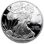 2001-W Proof American Silver Eagle PF-69 NGC (Retro Black Insert)