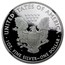 2001-W Proof American Silver Eagle PF-69 NGC (Retro Black Insert)