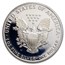 2001-W Proof American Silver Eagle PR-69 PCGS