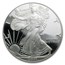 2001-W Proof American Silver Eagle PR-70 PCGS