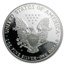 2001-W Proof American Silver Eagle PR-70 PCGS