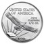 2002 1/2 oz American Platinum Eagle MS-70 NGC