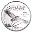 2002 1 oz American Platinum Eagle MS-70 NGC