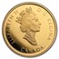 2002 Canada 1/4 oz Proof Gold $100 Oil Industry