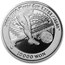2002 South Korea Silver 10000 Won FIFA World Cup Proof 