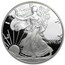 2002-W 1 oz Proof American Silver Eagle (w/Box & COA)