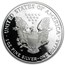 2002-W 1 oz Proof American Silver Eagle (w/Box & COA)