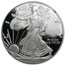 2002-W Proof American Silver Eagle PF-69 NGC (Retro Black Insert)