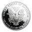 2003-W 1 oz Proof American Silver Eagle (w/Box & COA)