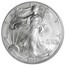 2004 American Silver Eagle MS-70 PCGS