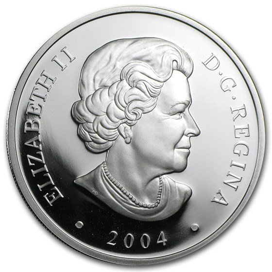 Buy 2004 Canada 1 oz Silver $20 Natural Wonders (Hopewell Rocks) | APMEX