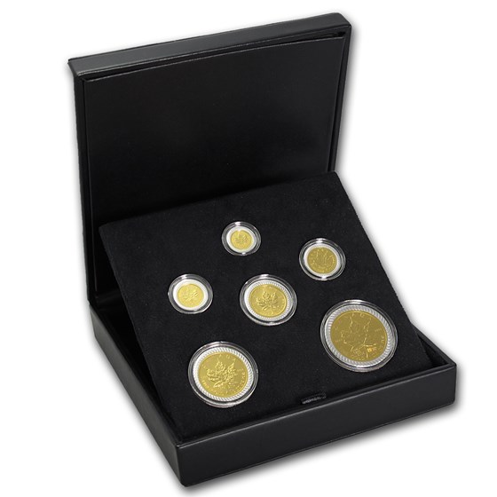 2004 Canada 6-Coin Gold Maple Leaf Bimetallic Set (w/Box) 2004 Canada 6-Coin Gold Maple Leaf Bimetallic Set (w/Box)