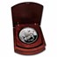 2004 China 1 kilo Silver Panda Proof (w/Box & COA) Dmg Capsule