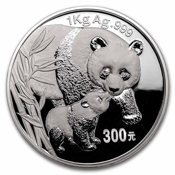 2004 China 1 kilo Silver Panda Proof (w/Box & COA) Dmg Capsule