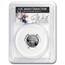 2004-W 1/10 oz Proof American Platinum Eagle PR-69 PCGS