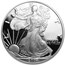 2004-W 1 oz Proof American Silver Eagle (w/Box & COA)