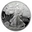 2004-W Proof American Silver Eagle PF-69 NGC