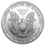 2005 1 oz American Silver Eagles (20-Coin MintDirect® Tube)