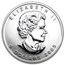 2005 Canada 1 oz Silver Maple Leaf Colored (Broadleaf Maple)