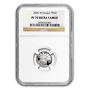 2005-W 1/10 oz Proof American Platinum Eagle PF-70 UCAM NGC